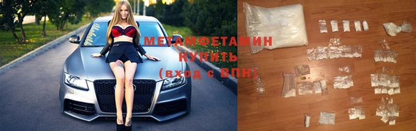 прущие грибы Новозыбков