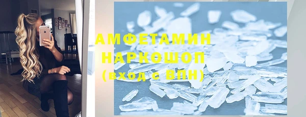 прущие грибы Новозыбков