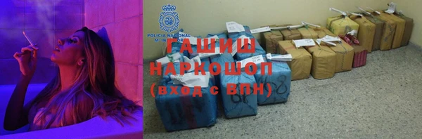 прущие грибы Новозыбков