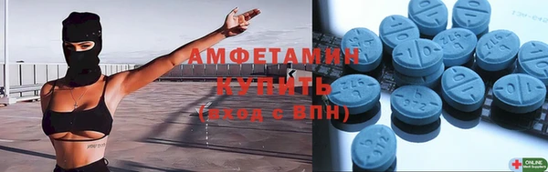прущие грибы Новозыбков