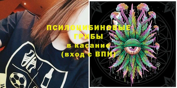 прущие грибы Новозыбков