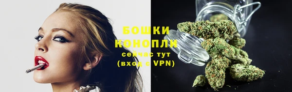 стаф Новодвинск