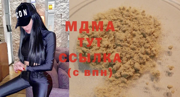 прущие грибы Новозыбков