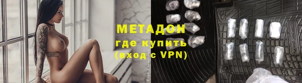 прущие грибы Новозыбков