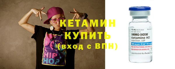 прущие грибы Новозыбков