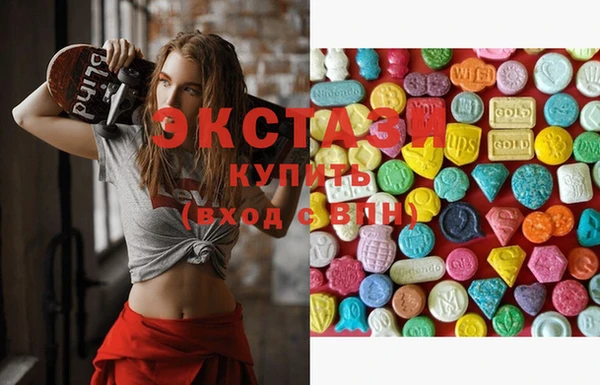 стаф Новодвинск