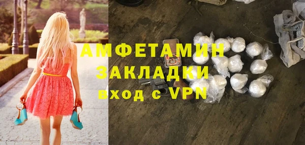 прущие грибы Новозыбков
